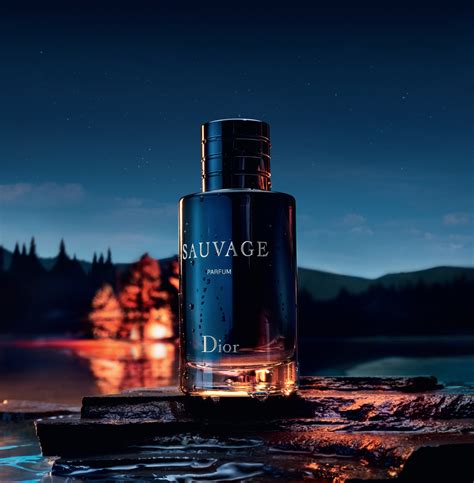 dior sauvage apology|is dior sauvage really good.